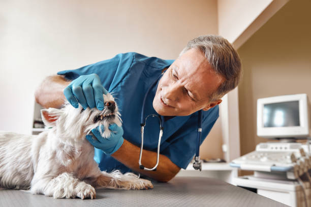 Best 24-Hour Emergency Dentist in Kendall West, FL